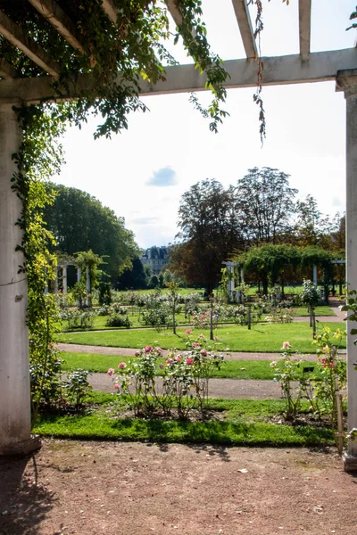 Tete d 'or park Lyon' da — Stok fotoğraf