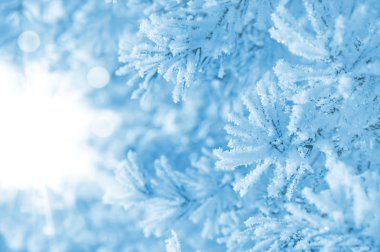 Kış parlak arka plan