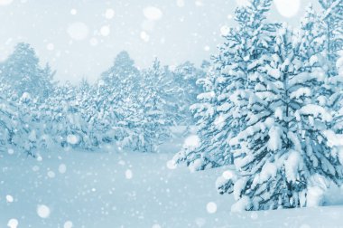 Karlı kış ormanda