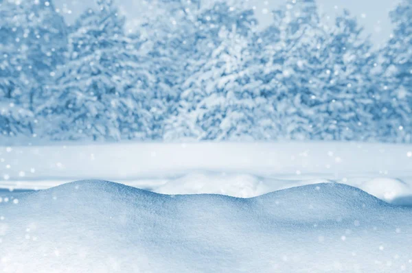 Fondo con bosque cubierto de nieve — Foto de Stock