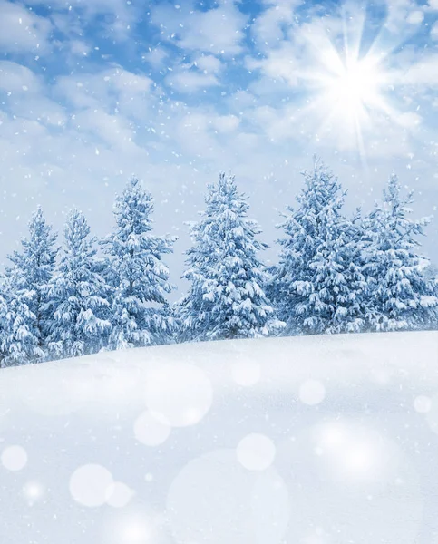 Winter beautiful landscape — Stock Photo, Image