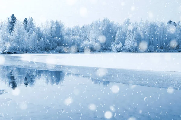 Winter bright landscape — Stock Photo, Image