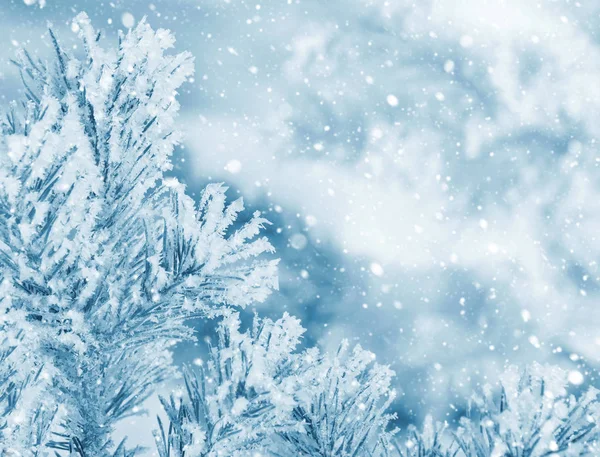 Kış doğal arka plan