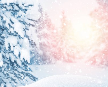 Karla kaplı orman ile arka plan