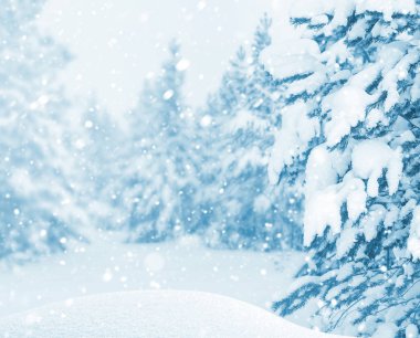 Kış parlak manzara.