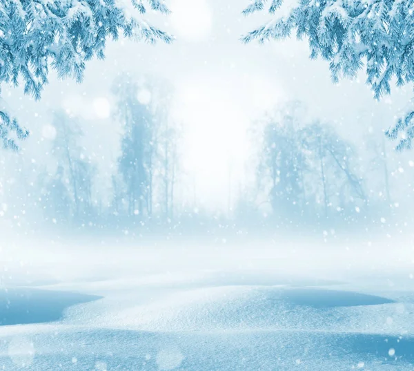 Winter Bright achtergrond. — Stockfoto
