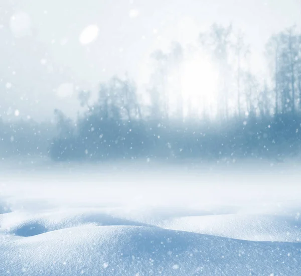 Mglisty krajobraz zima — Zdjęcie stockowe