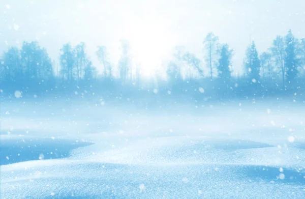 Winter background for design — Stock Photo, Image