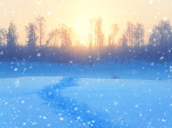 Туманный пейзаж зимнего утра . — стоковое фото