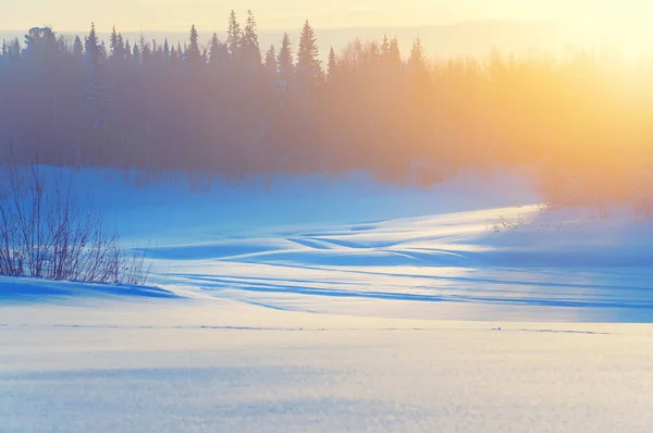 Winterhelle Landschaft. — Stockfoto