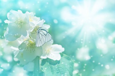 Gentle spring background clipart
