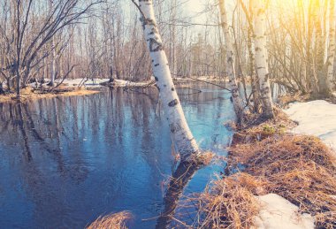 Bahar parlak manzara. 