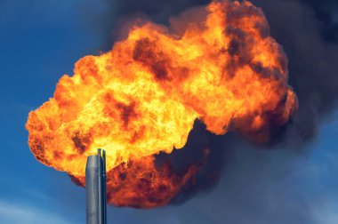 Büyük petrol meşale alevi