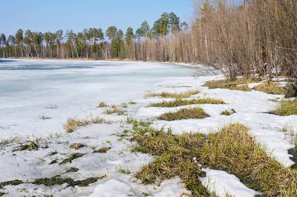 Lente landschap met ontdooid — Stockfoto