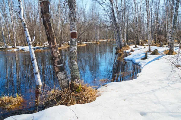 Paysage d'eau de source — Photo