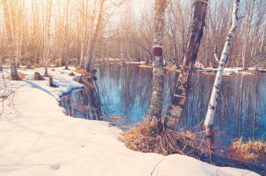 Bahar parlak manzara.