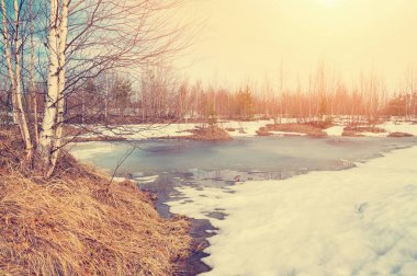 Vintage tarzı manzarada bahar