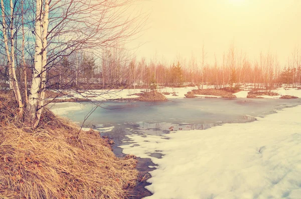 Vintage tarzı manzarada bahar