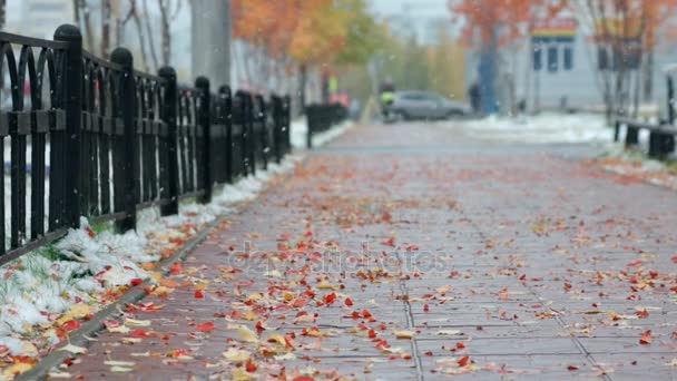 Tempo nuvoloso con la prima neve . — Video Stock