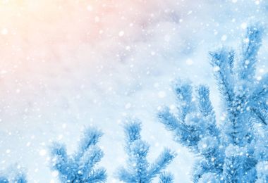 Kış parlak arka plan.