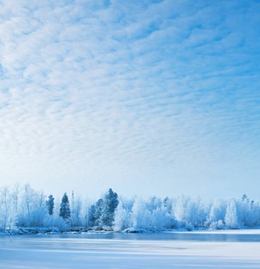 Kış parlak manzara