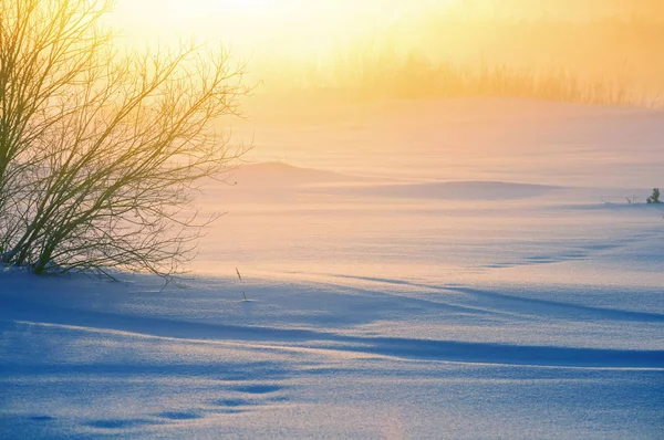 Invierno niebla paisaje . — Foto de Stock