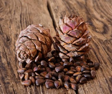 Sedir fındık ile iki külah