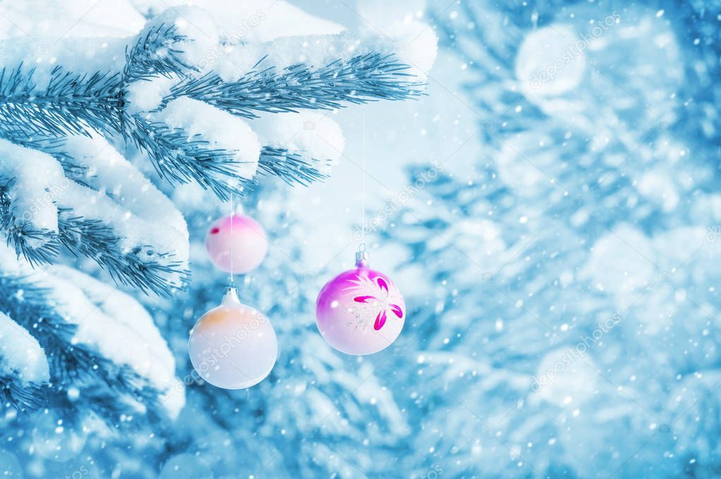 Winter landscape. Christmas balls on coniferous branch in  snow-covered forest.