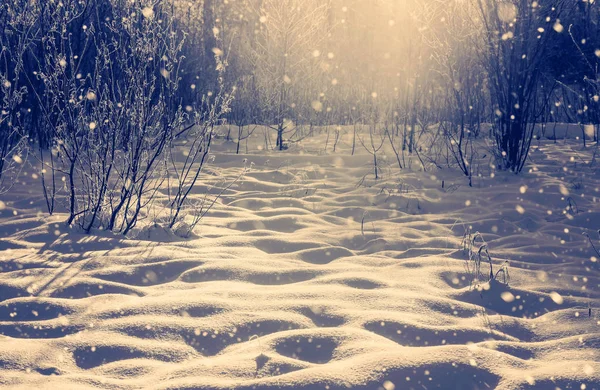ビンテージ スタイルの夕日に雪に覆われた森林のある冬景色 — ストック写真