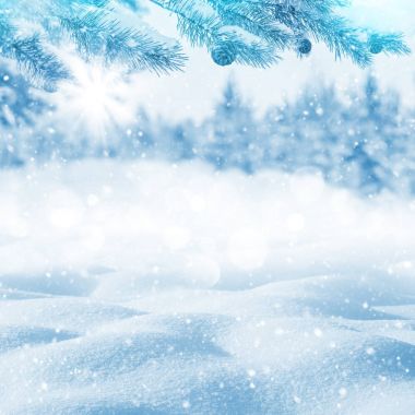 Kış parlak arka plan. Karlı bir Noel manzarası ve buzullarda çam dalları.