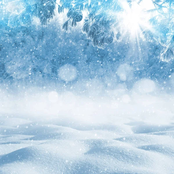 Inverno Fundo Brilhante Paisagem Natal Com Snowdrifts Ramos Cedro Geada — Fotografia de Stock