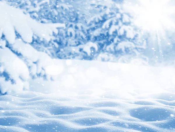 Tél Fényes Háttér Karácsonyi Táj Hóeltolódással Fenyőágakkal Fagyban — Stock Fotó