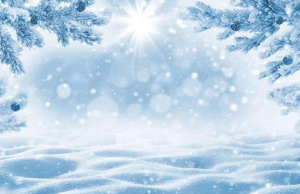 Kış arka plan ile snowdrifts tebrik kartı için. Noel, yatay, snowdrifts ve çam dalları Frost.