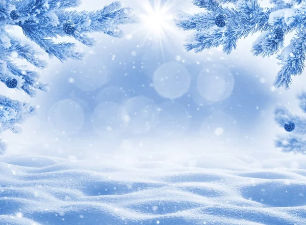 Kış arka plan ile snowdrifts tebrik kartı için. Noel, yatay, snowdrifts ve çam dalları Frost.
