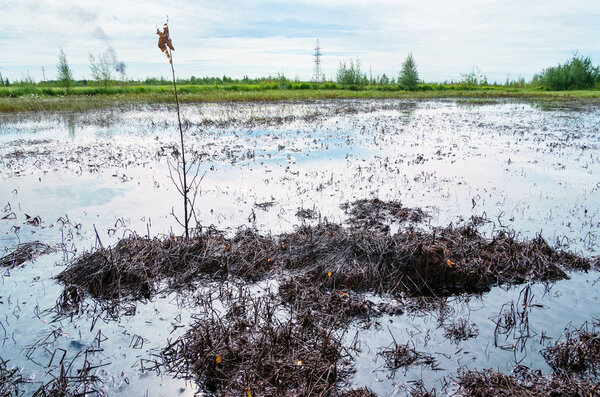Загрязнение окружающей среды Нефтяная земля после аварии на нефтепроводе
.