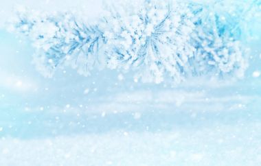 Kış parlak arka plan. Karlı bir Noel manzarası ve buzullarda çam dalları.