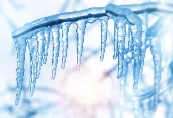 Ast Mit Eiszapfen Nach Gefrierendem Regen — Stockfoto