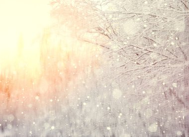 Kış karla kaplı ağaç dalları ile arka plan bulanık