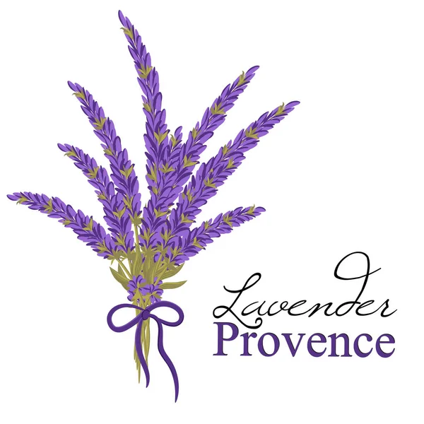 Çilek ile çiçek arka plan