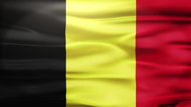 Realistische nahtlose Schleifenfahne Belgiens, die im Wind weht — Stockvideo
