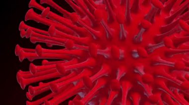 COVID-19 veya Coronavirüs 2019 Corona virüsü 3d Döngü Animasyonu.