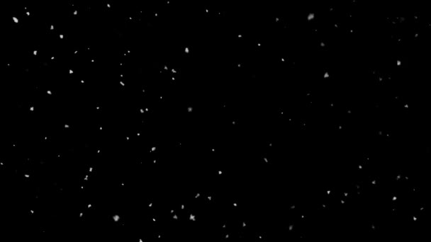 Wysokiej jakości płatki śniegu Blizzard 4k animacja pętli — Wideo stockowe
