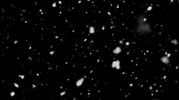 Vysoce kvalitní padající sněhové vločky Blizzard 4k smyčka animace