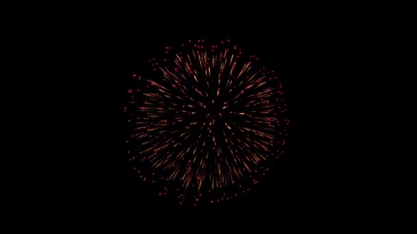 Vuurwerk Toon de nachtelijke hemel Animatie — Stockvideo