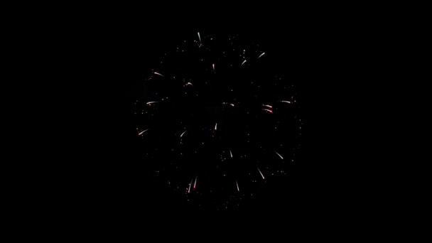 Feuerwerk zeigt den Nachthimmel Animation — Stockvideo