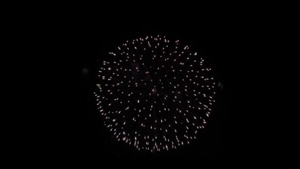 밤하늘 애니메이션을 전시하는 불꽃놀이 — 비디오