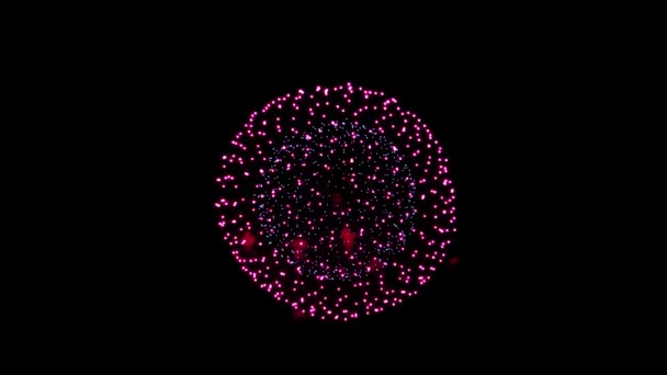 Feux d'artifice Afficher le ciel nocturne Animation — Video