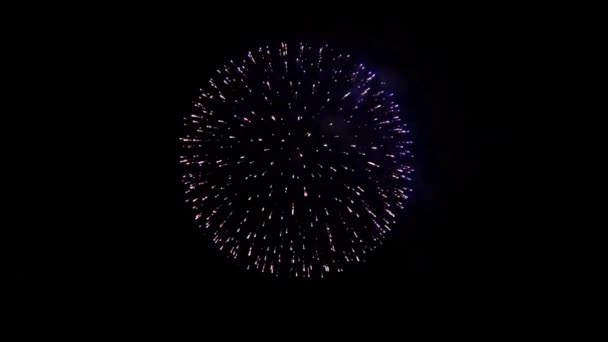 Feuerwerk Explosionen am Nachthimmel Animation — Stockvideo