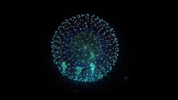 Πυροτεχνήματα Εμφάνιση του νυχτερινού ουρανού Animation — Αρχείο Βίντεο