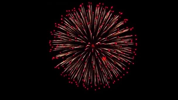 Fuegos artificiales Mostrar el cielo nocturno Animación — Vídeo de stock